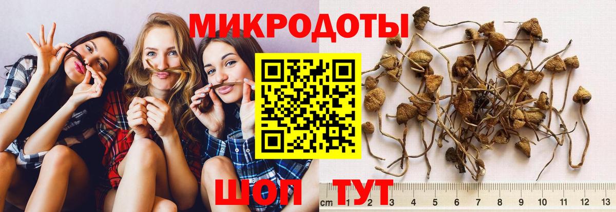 Псилоцибиновые грибы MAGIC MUSHROOMS Тайшет